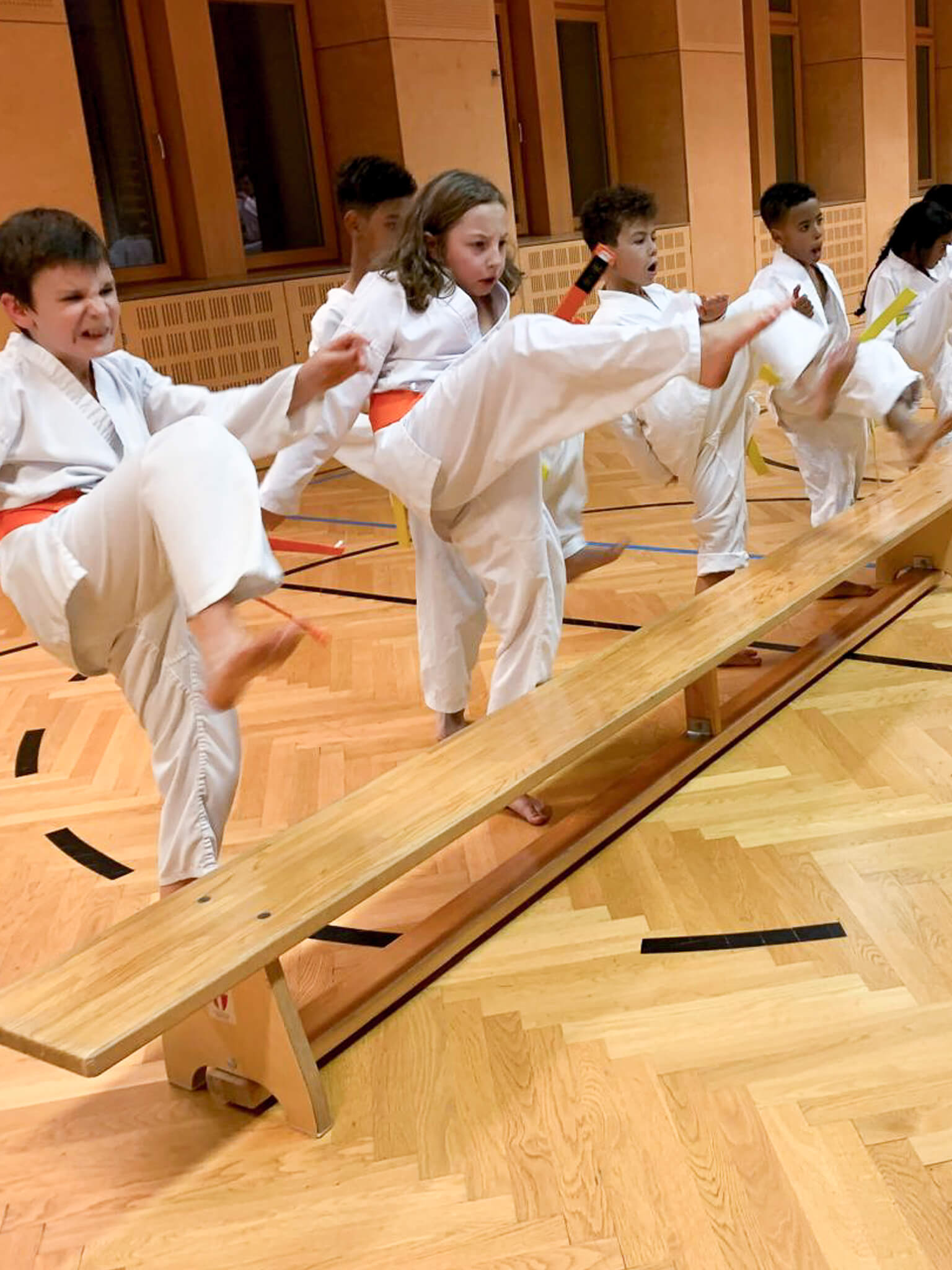 Fudoshin Sommer Camp