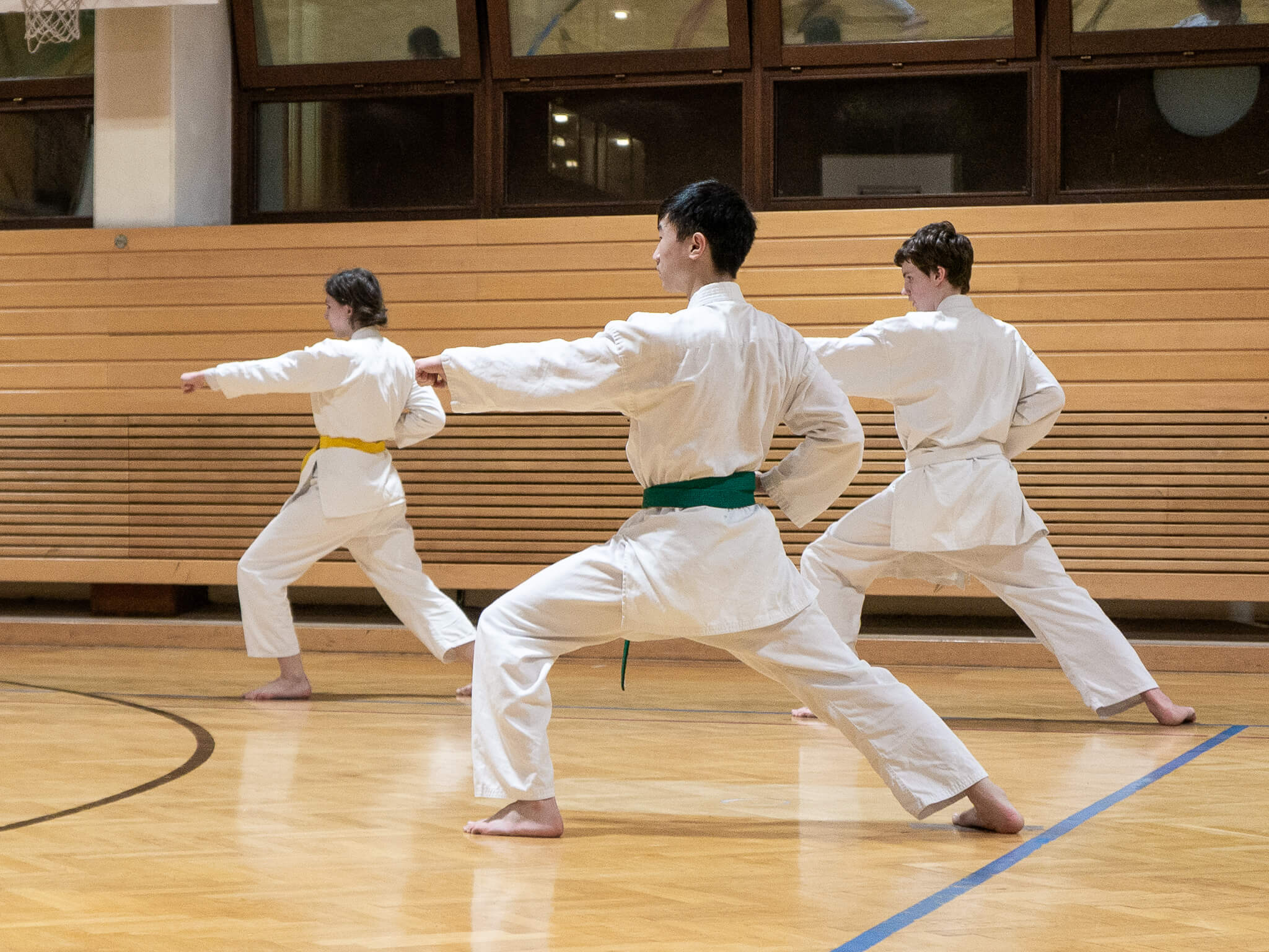 Fudoshin Karate Training 1