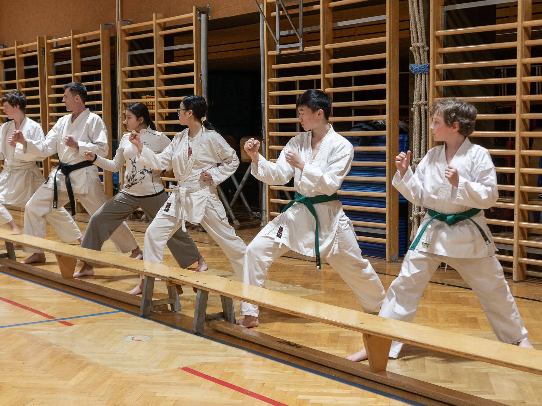 Fudoshin Karate Training 2