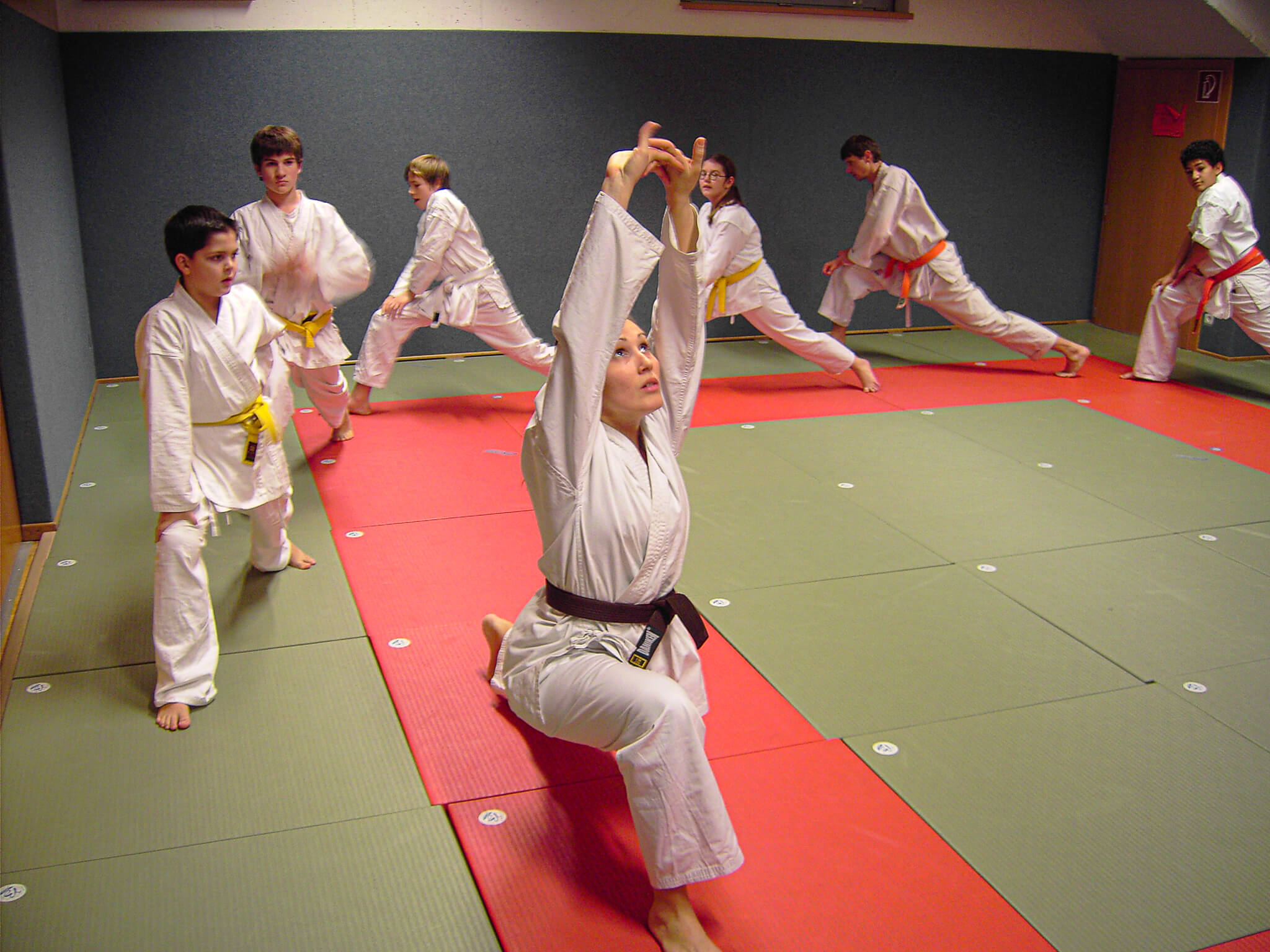 Fudoshin Karate Training 4