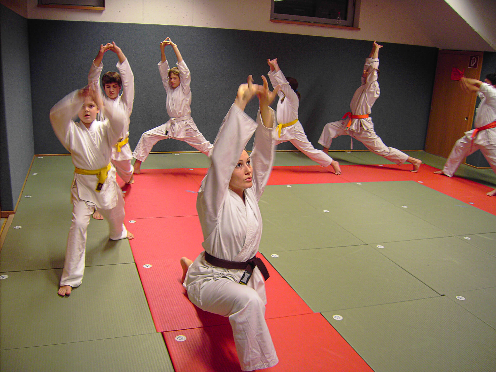 Fudoshin Karate Training 5