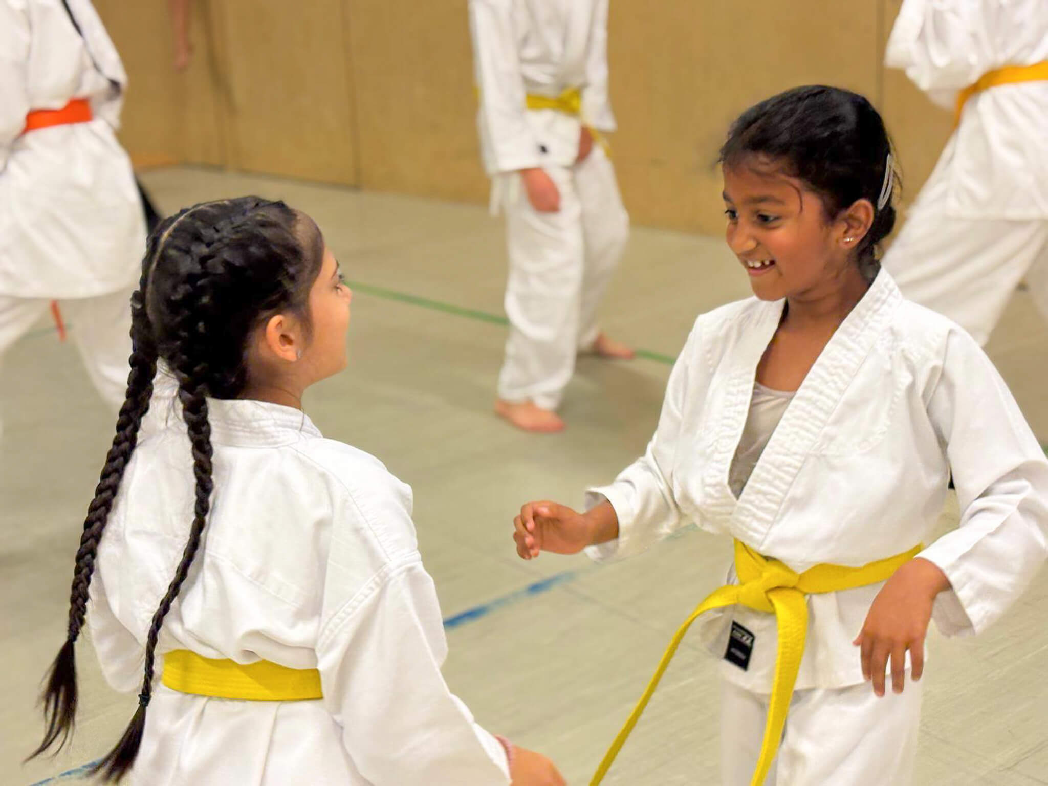 Fudoshin Karate Training 7