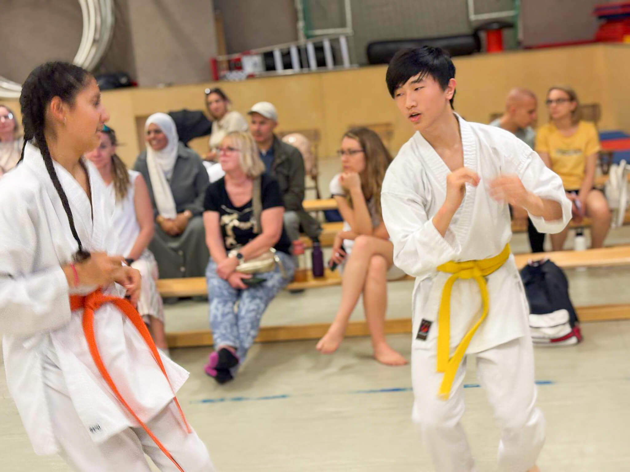 Fudoshin Karate Training 9