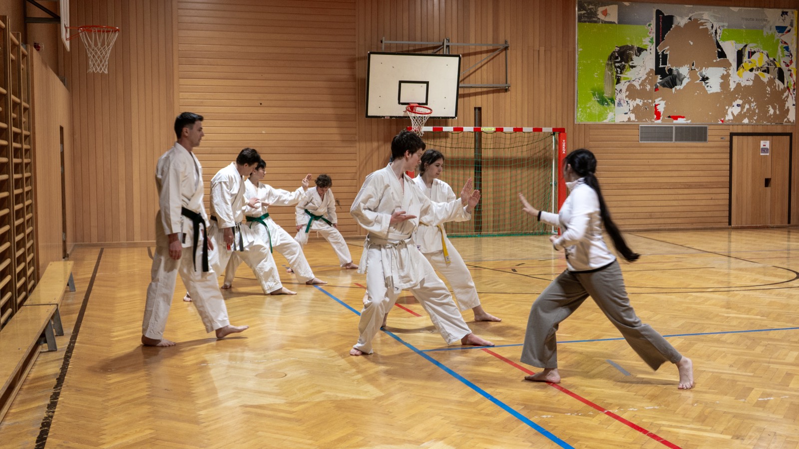 Techniktraining — Fudoshin Karate-Do Wien