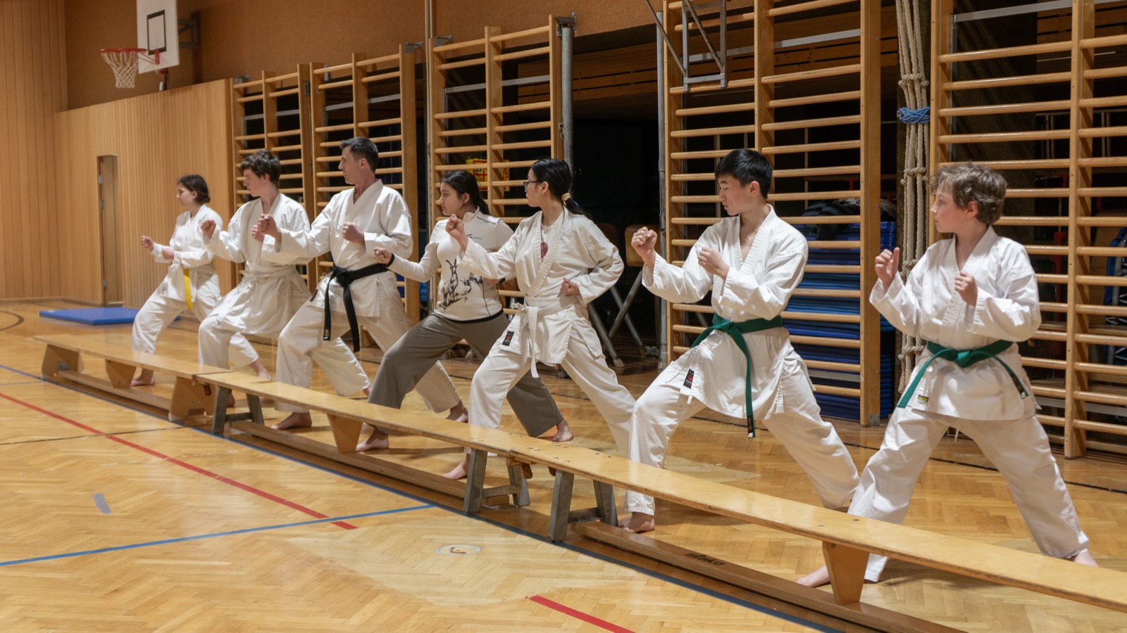 Kata-Training Nahaufnahme — Fudoshin Karate-Do Wien