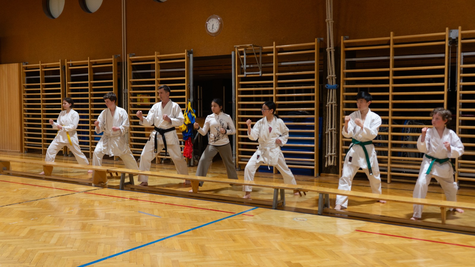 Kata-Training in der Gruppe — Fudoshin Karate-Do Wien