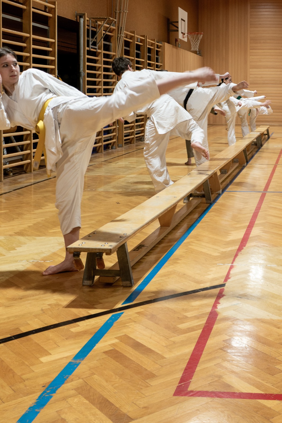 Kick-Übung an der Bank — Fudoshin Karate-Do Wien