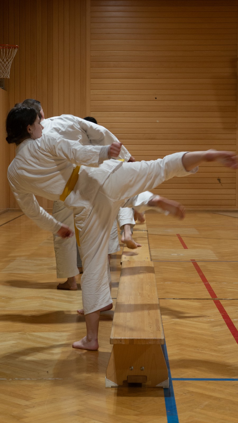 Mae-geri Übung — Fudoshin Karate-Do Wien