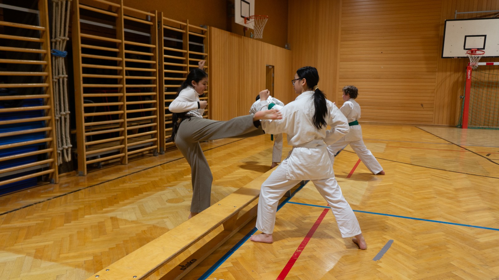 Kumite-Sparring — Fudoshin Karate-Do Wien