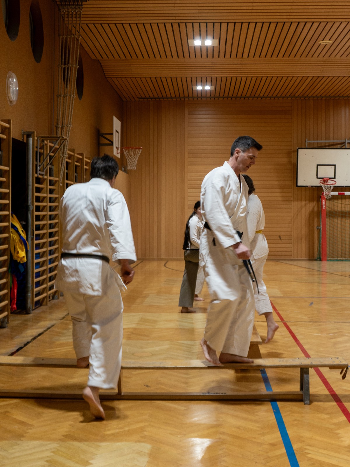 Training im Dojo — Fudoshin Karate-Do Wien